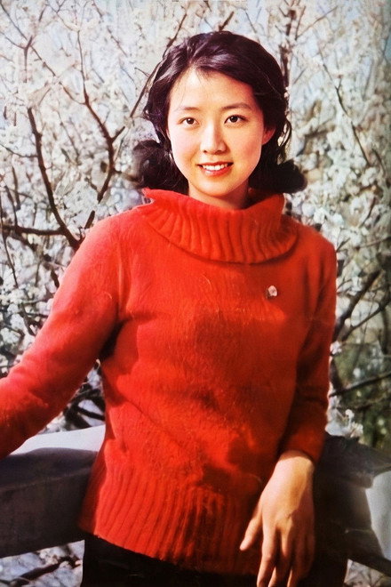 殷新