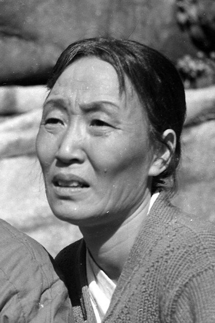 송미남