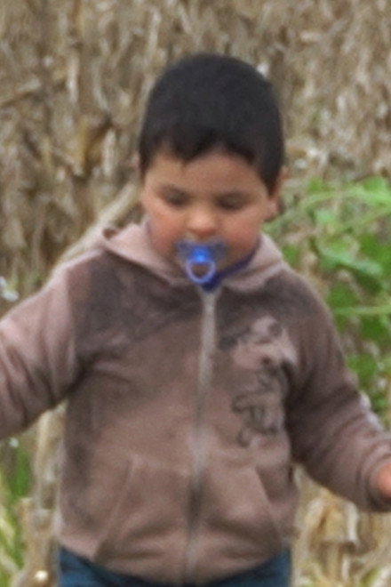 Pedro Bueno Picollo