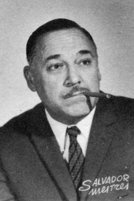 Salvador Mestres