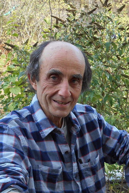 Bernard Palacios